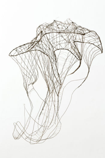 <b>Wachsen </b>
<br>Haimerl Brosch Renate