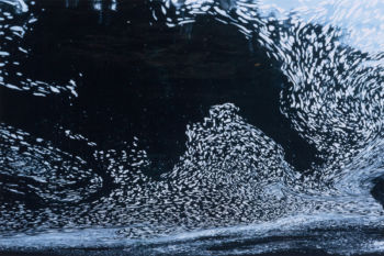 <b>Angriff </b>
<br>Riederer Rudolf