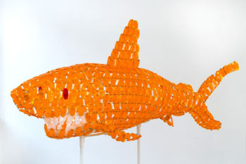 <b>Gegen den Strom </b>
<br>Rill Renato