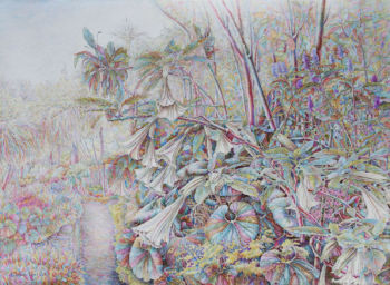 <b>Tropische Sonate </b>
<br>Gerlach Kateryna