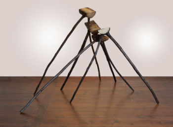 <b>Yakisugi</b>
<br>Adler, Pauline