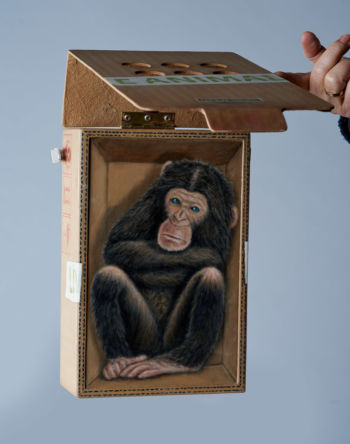 <b>Maurice</b>
<br>Guber, Tomas