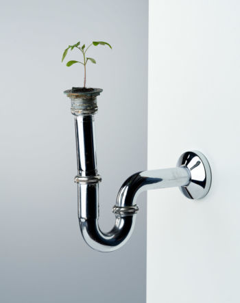 <b>Der Letzte räumt die Erde auf</b>
<br>Kobler, Toni