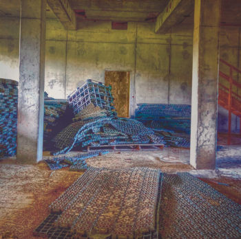 <b>Serie:Entropiepalast</b>
<br>Nunold, Beatrice