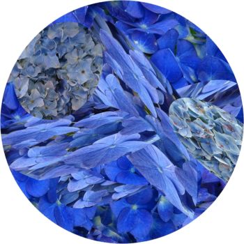 <b>Fürstliche Favoriten 2</b>
<br>Maria Maier