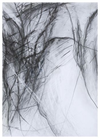 <b>ohne Titel</b>
<br>Paul Schinner, 2022