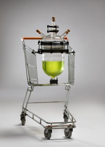 <b>Lebenselexier</b>
<br>Tone Schmid