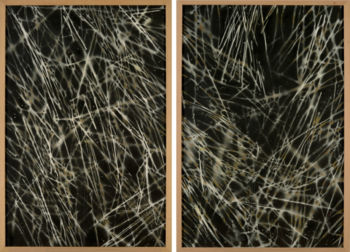 <b>Wintersenf 2-teilig</b>
<br>/ Raimund Reiter