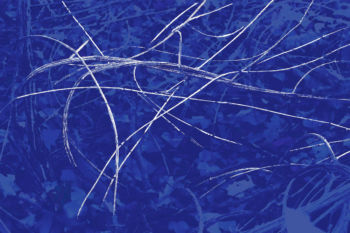 <b>Spurenbild 20221106 2993M4B</b>
<br>/ Wolfram Schmidt