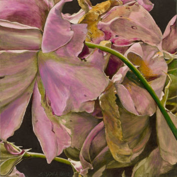 <b>The Pride</b>
<br>/ Sabine Wild