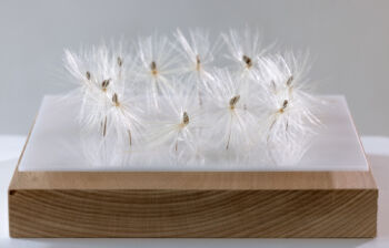 <b>Kleines Portal</b>
<br>/ Pauline Adler