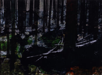 <b>aus der Reihe: Wald – Fallgatter #1</b>
<br>/ Ludwig Bäuml