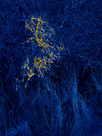 <b>Spurenbild Blau 20240121 7957 B</b>
<br>/ Wolfram Schmidt