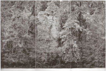 <b>Alois Achatz</b>
<br>„Wald“