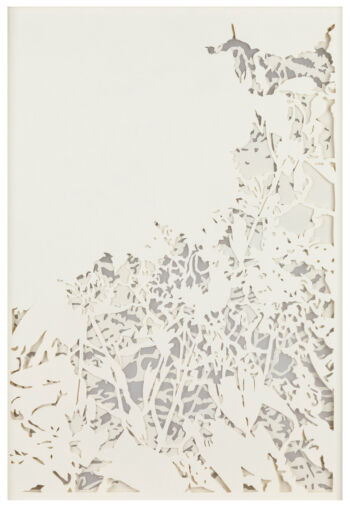 <b>Stefanie Reiter</b>
<br>„WAIT! - 5“