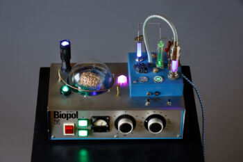<b>Stefan Stock</b>
<br>„The Brain“