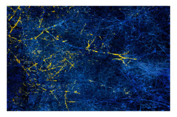 <b>Wolfram Schmidt</b>
<br>„Spurenbild 20250306_1828 E“